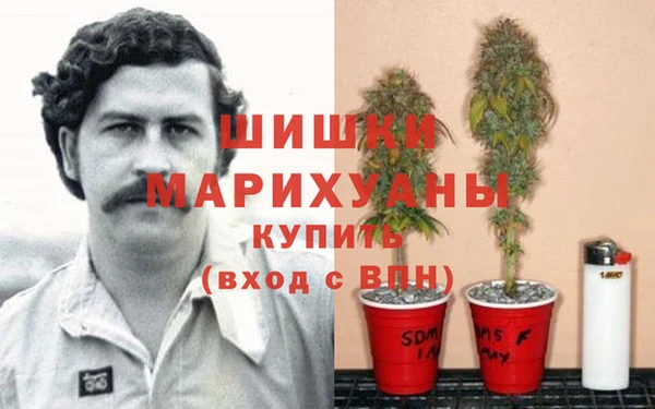 бутират Горняк