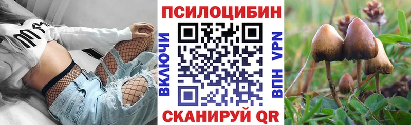 Галлюциногенные грибы GOLDEN TEACHER  Купить  Перевоз 
