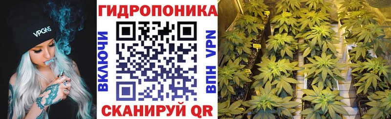 Купить  Перевоз  Марихуана SATIVA & INDICA 